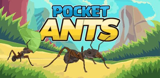 Pocket Ants