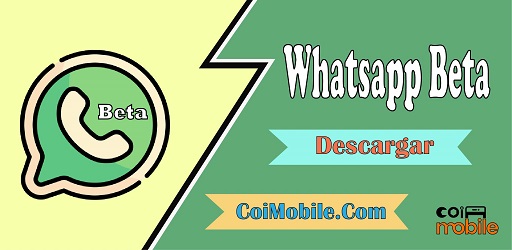 Whatsapp Beta APK 2.20.207.20