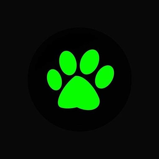 Chat Noir Brasil APK 5.9.46